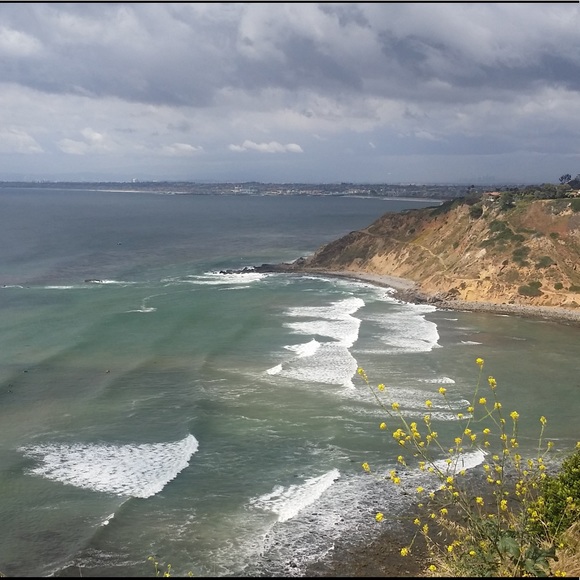 Meet your Posher, Mikey - Picture 11 of 16